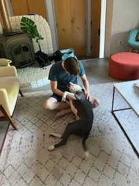Pup's playtime