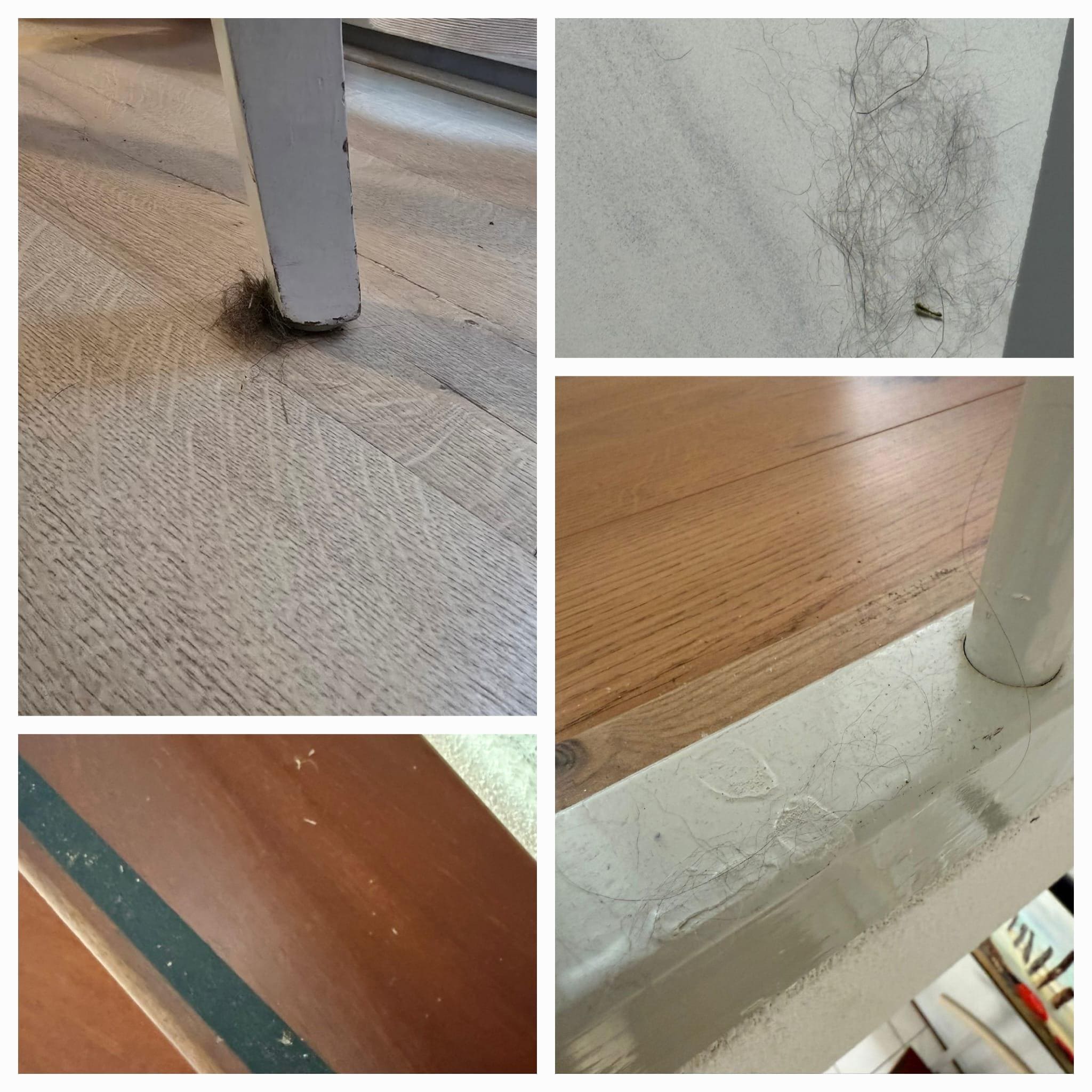 Haare, Stühle, Esszimmer, Treppe, Boden