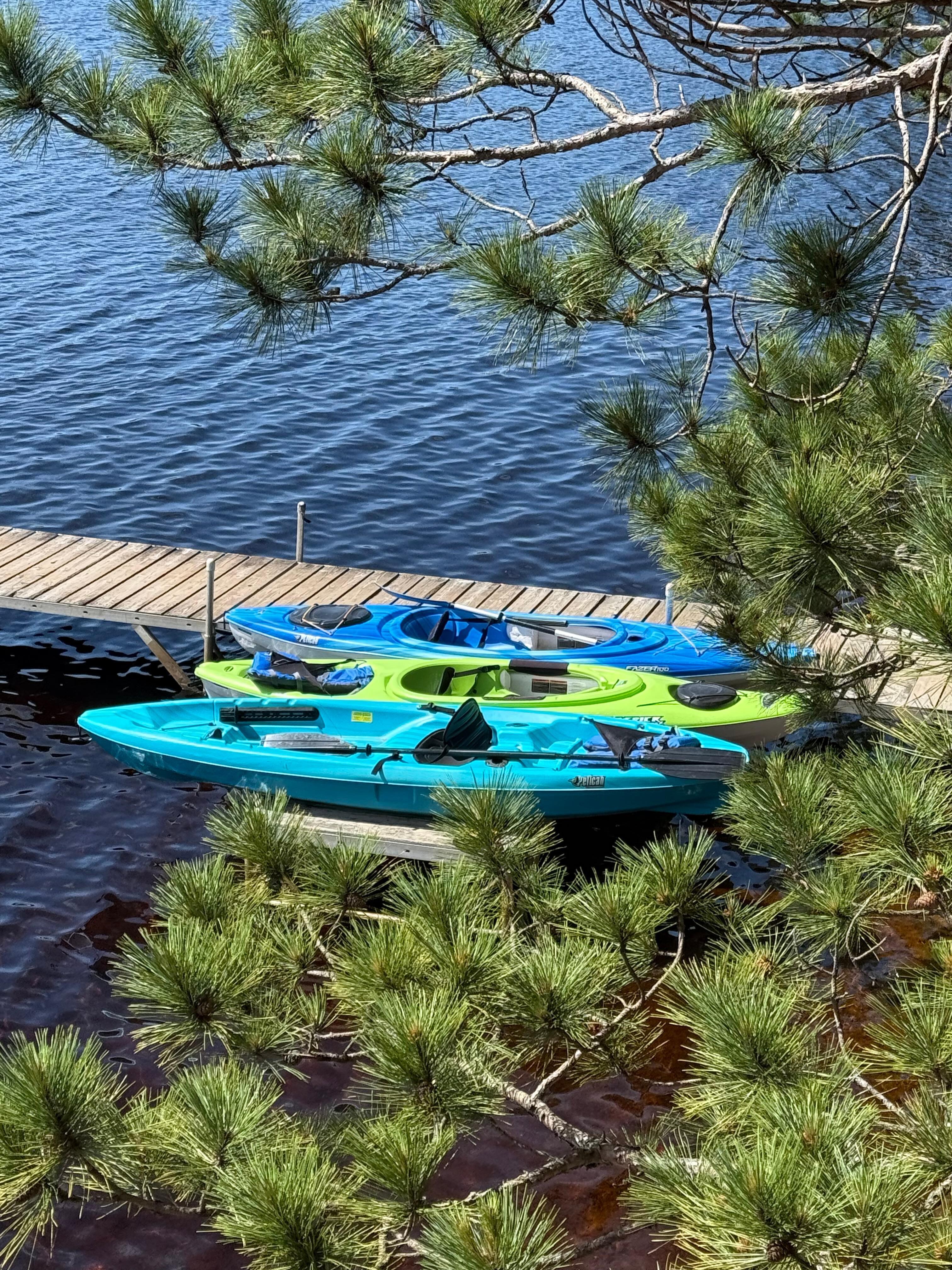 Kayak day