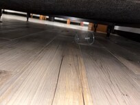 Sucio debajo de la cama