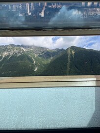 View out a velux window.