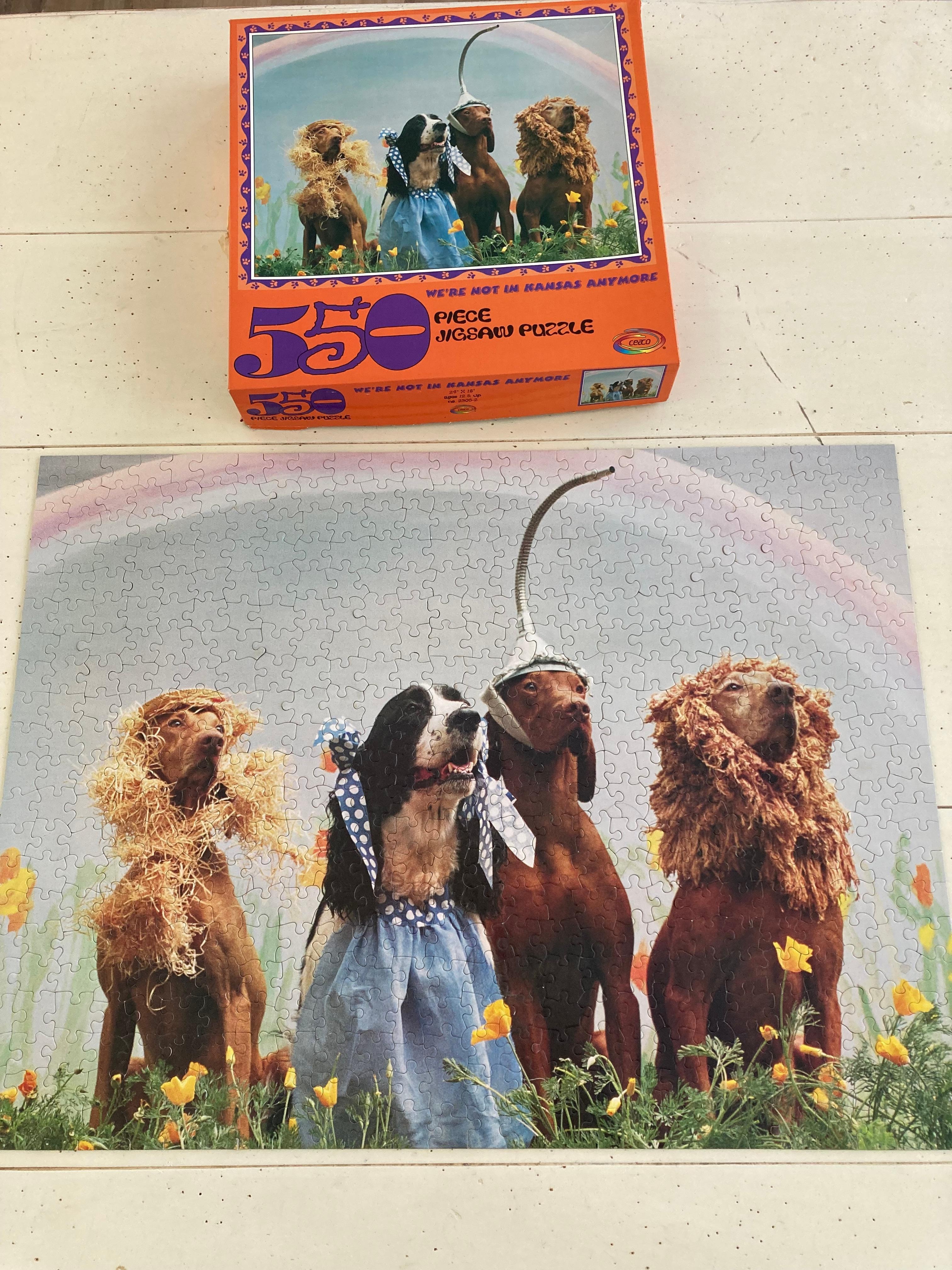 Our puzzle matched the photo spot!