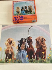 Our puzzle matched the photo spot!