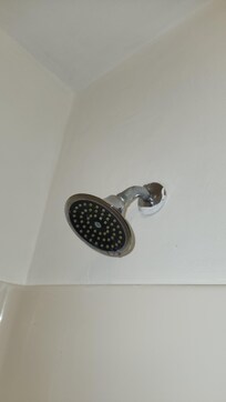 This is supposed to be your "Rainfall Showerhead"