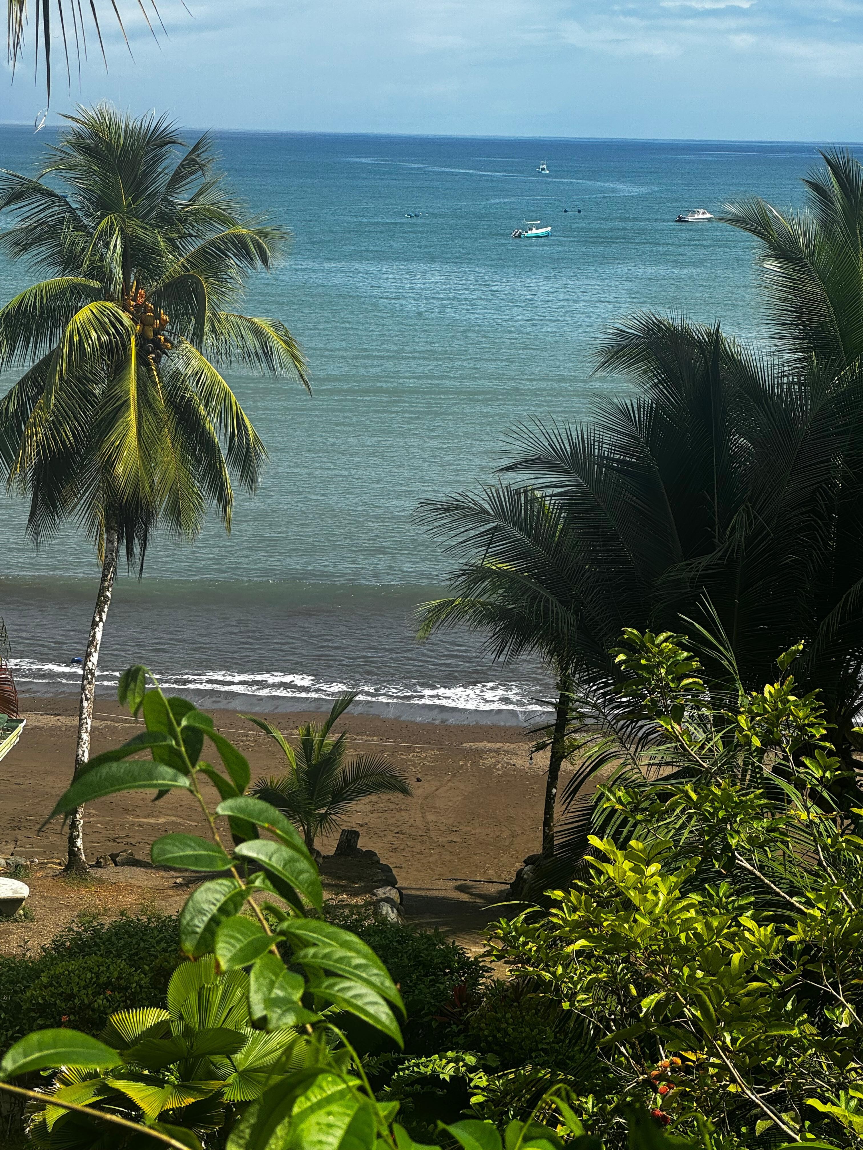 View from the room balcony 