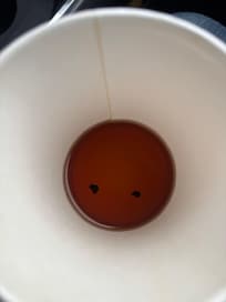 Floating debris from breakfast bar coffee