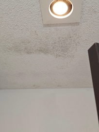 Mold or water spots in.ceili g