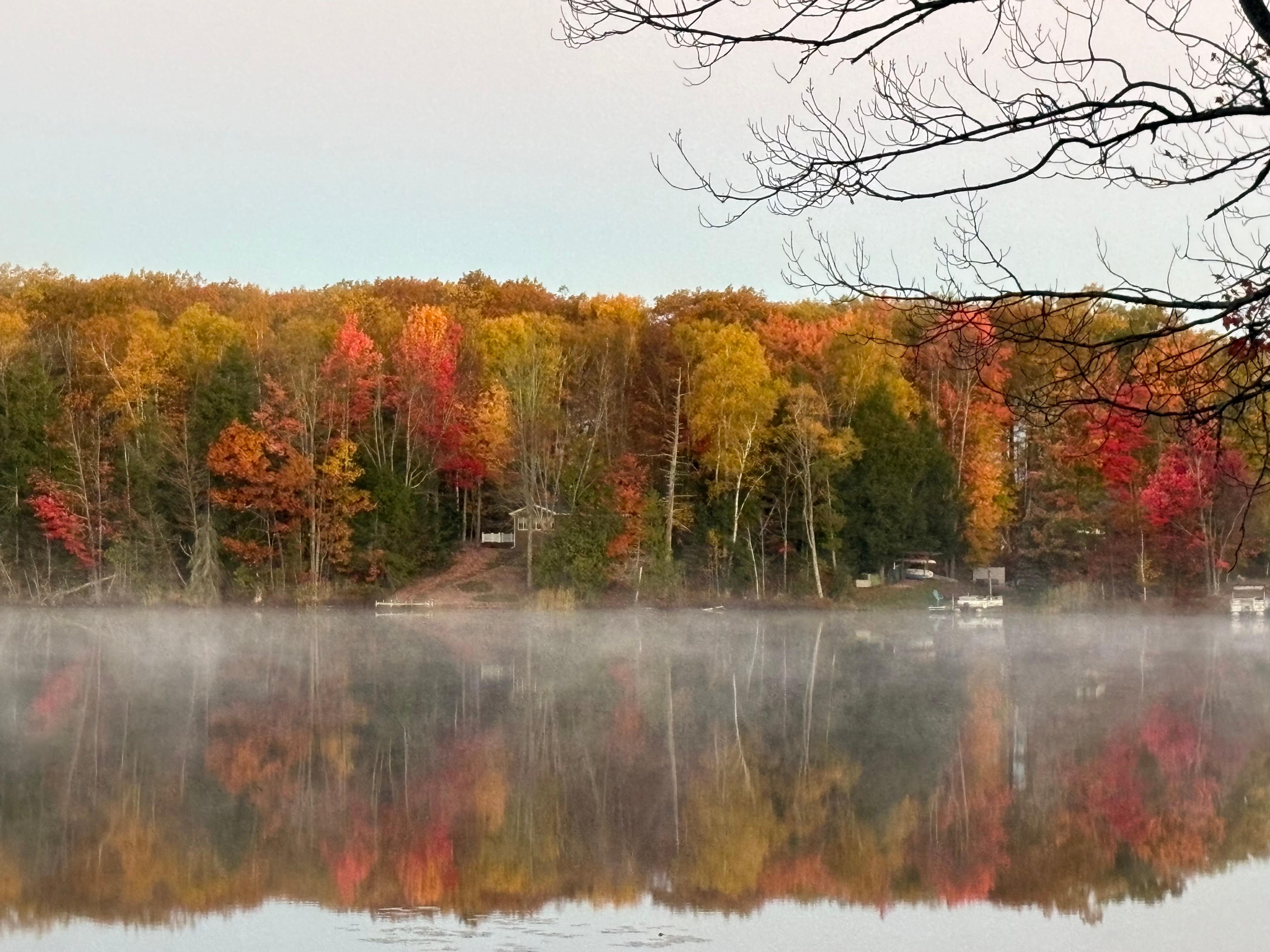 View from the cottage