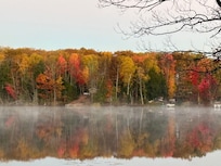 View from the cottage