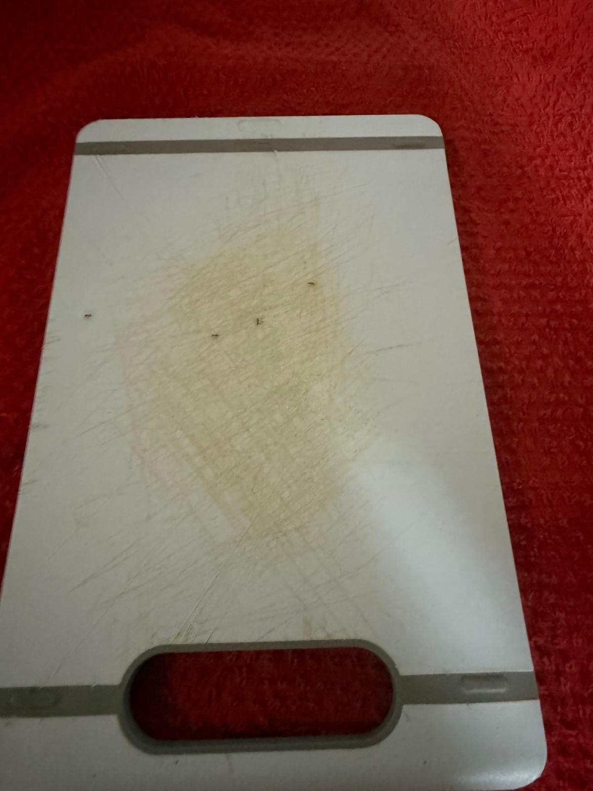 Infestation d'insectes, cuisine