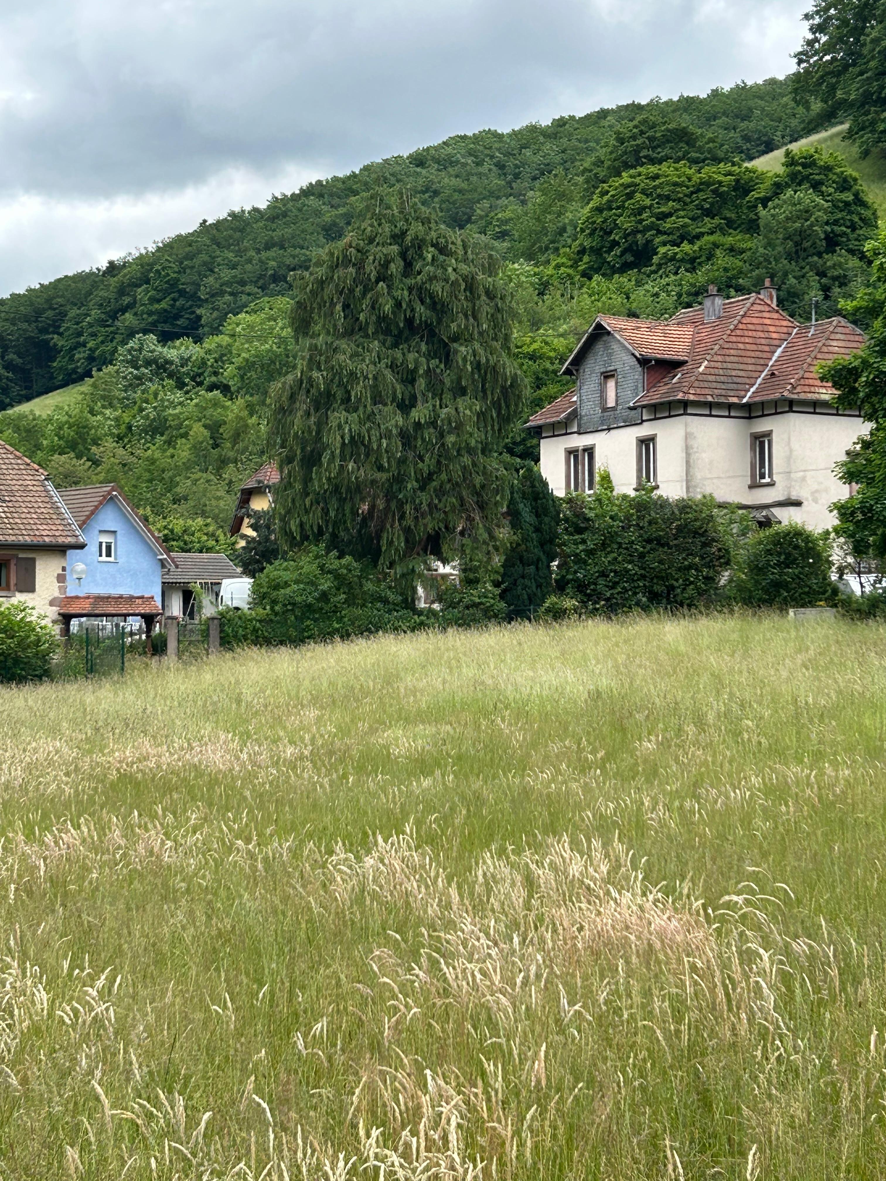 House & neighbouring houses from the field opposite 