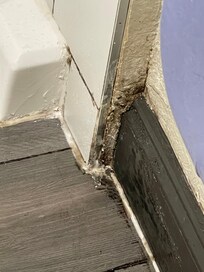 More mold