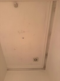 Mold on ceiling