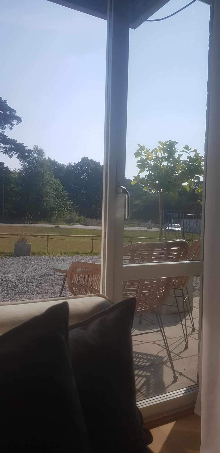 Garden view