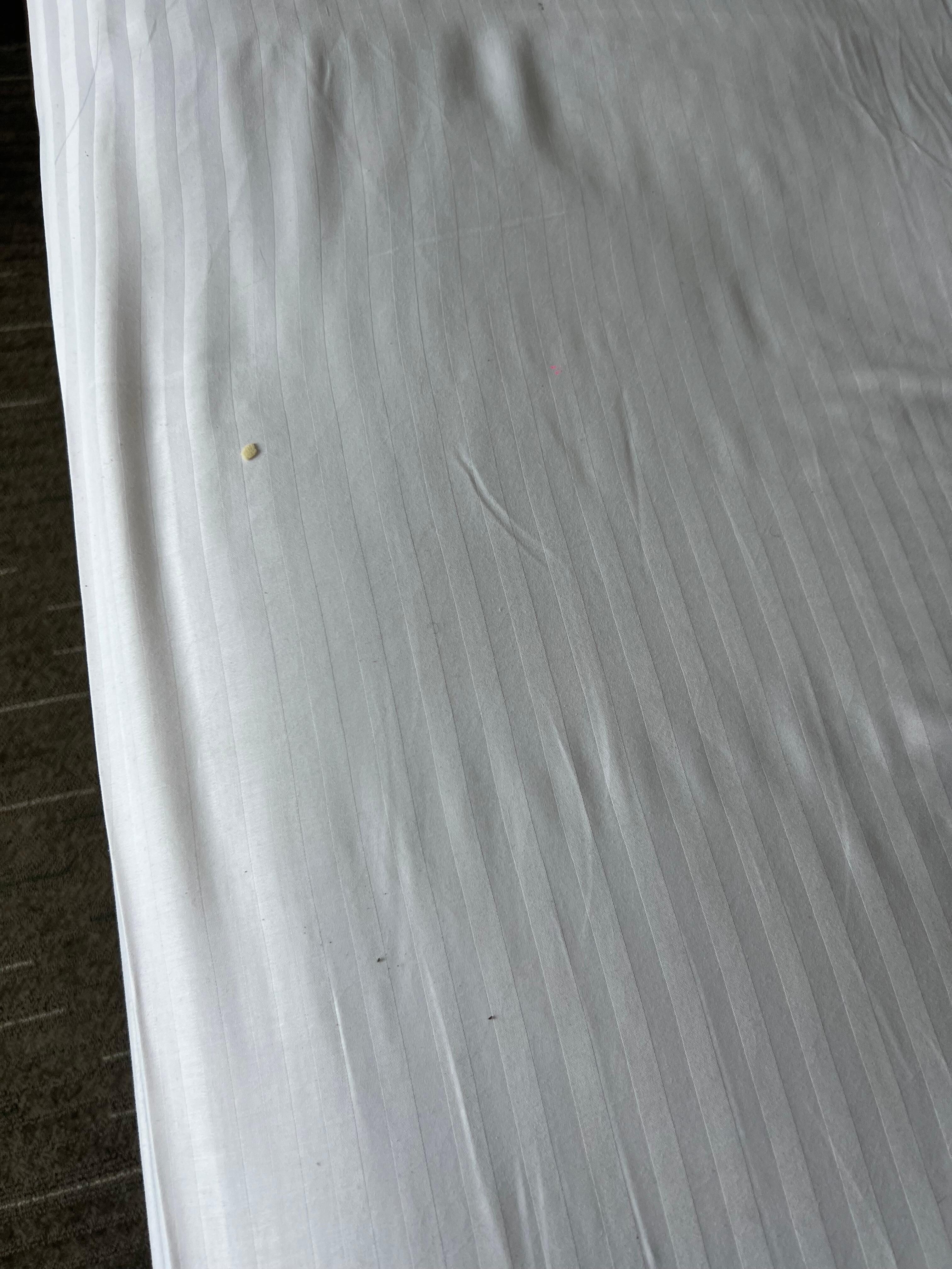 Hair in the bed and food crumbs on the bed