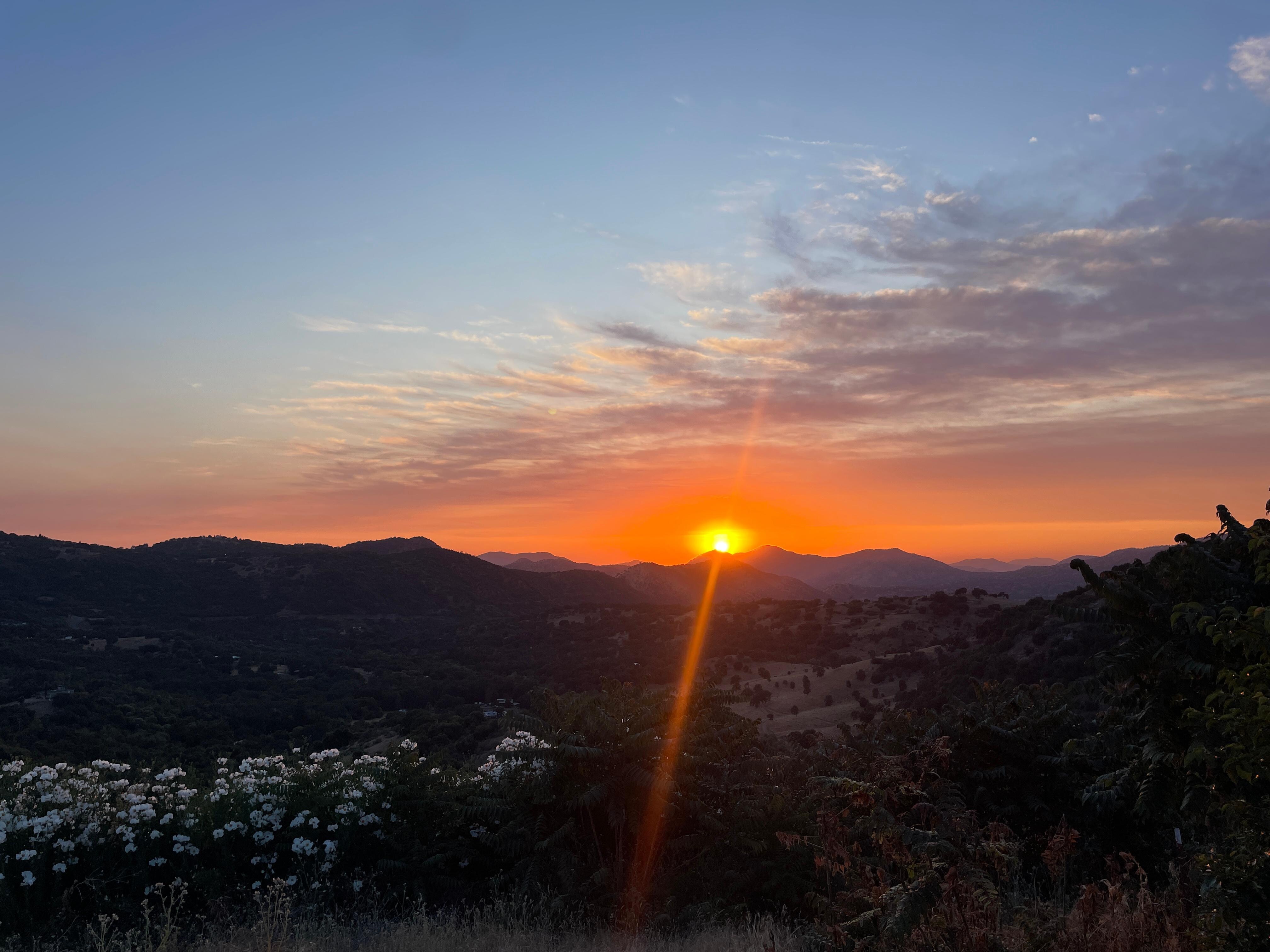 The evening view 