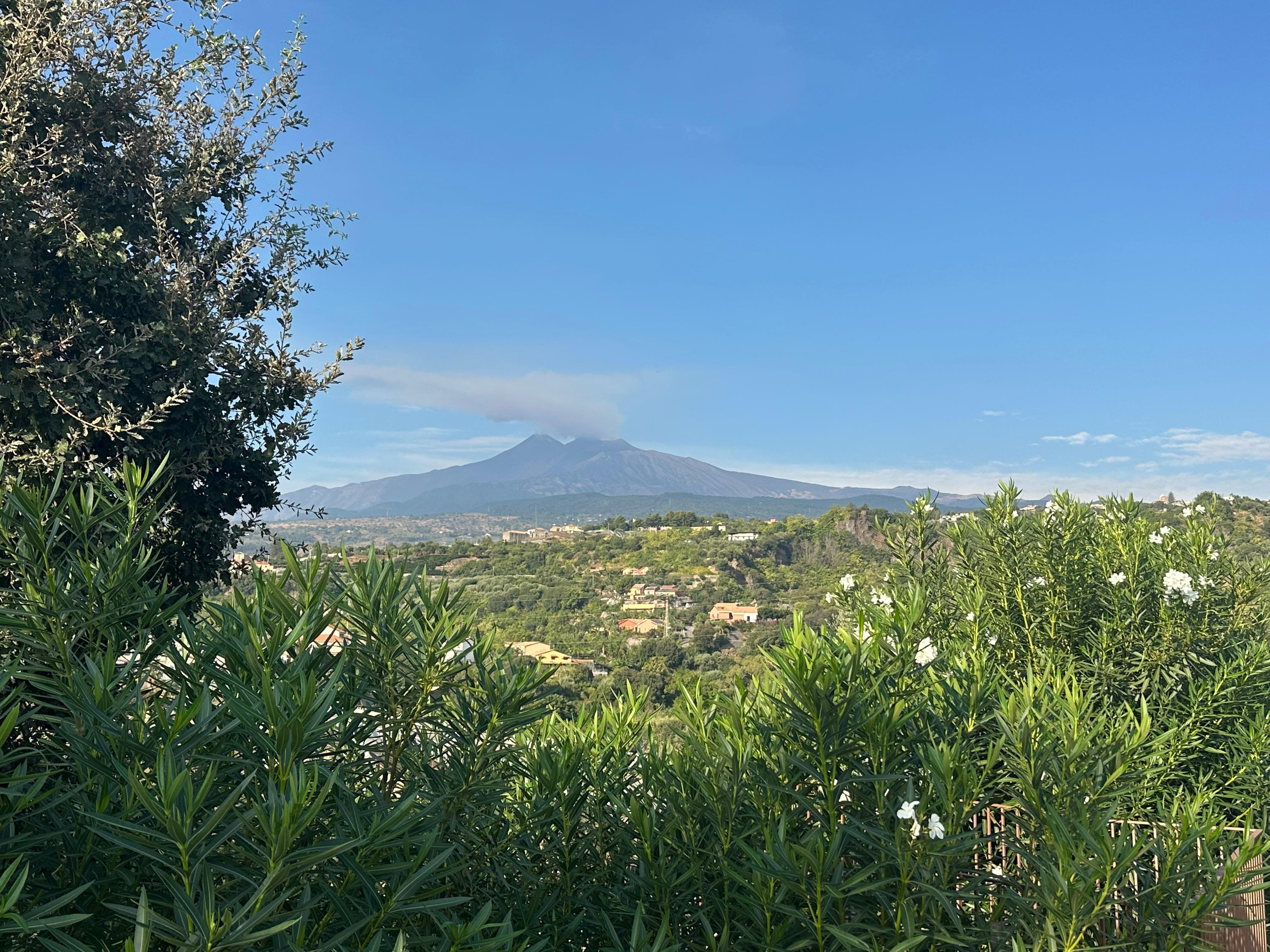 My. Etna seen from the house and the garden.