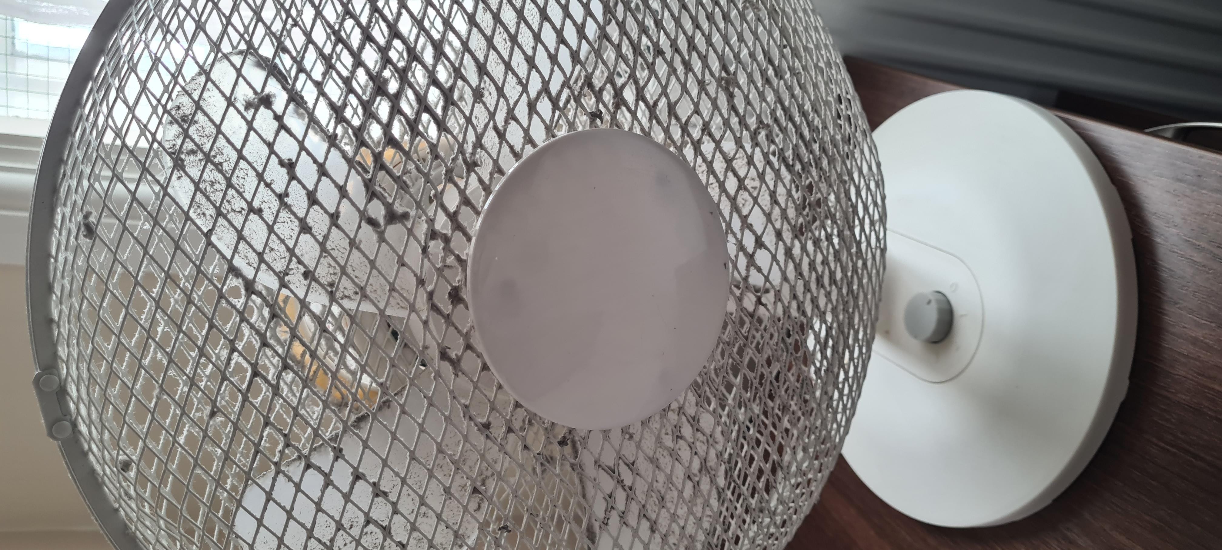 Dusty fan