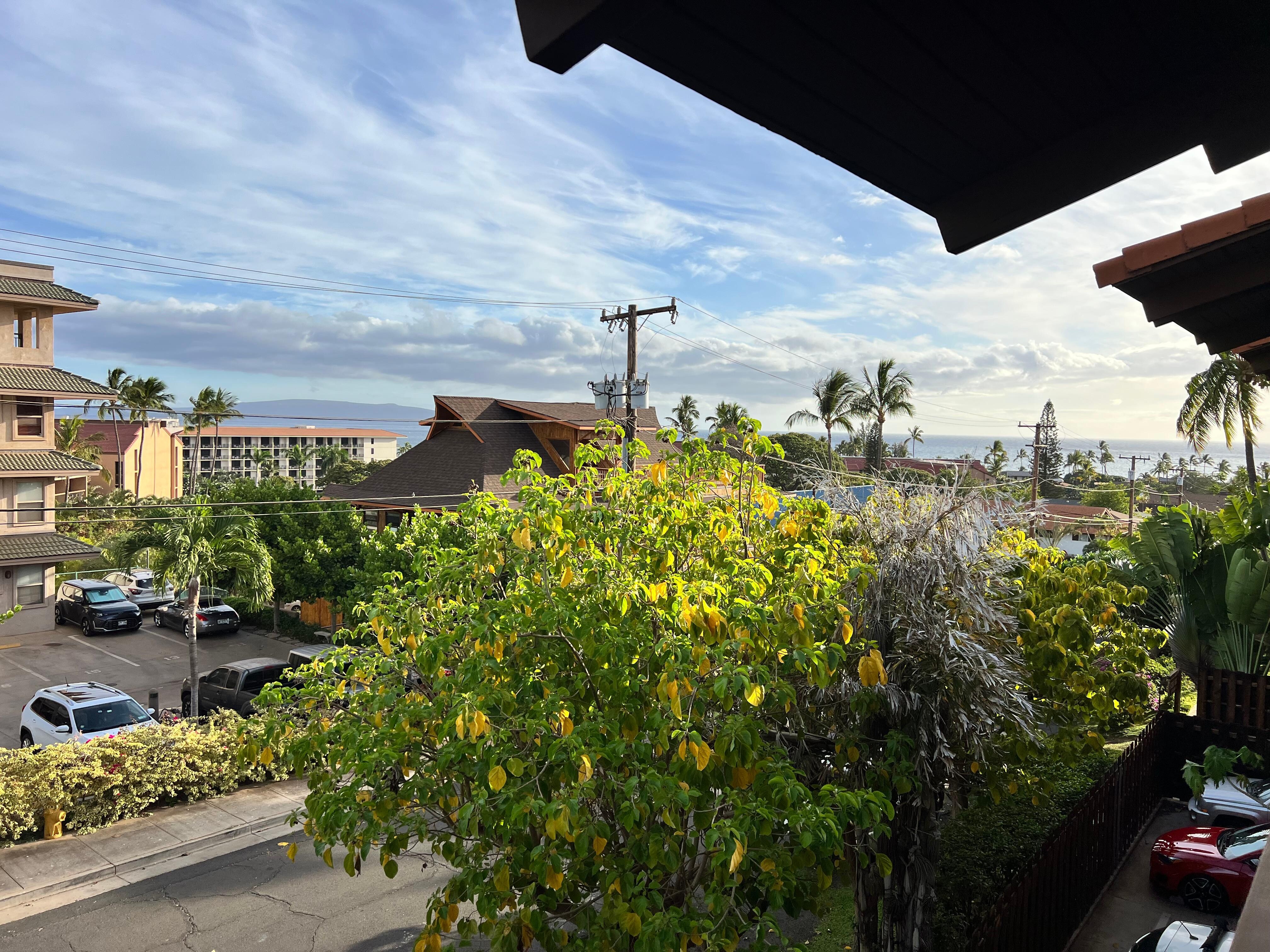 Balcony view 