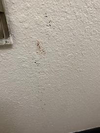 Blood splatter on wall