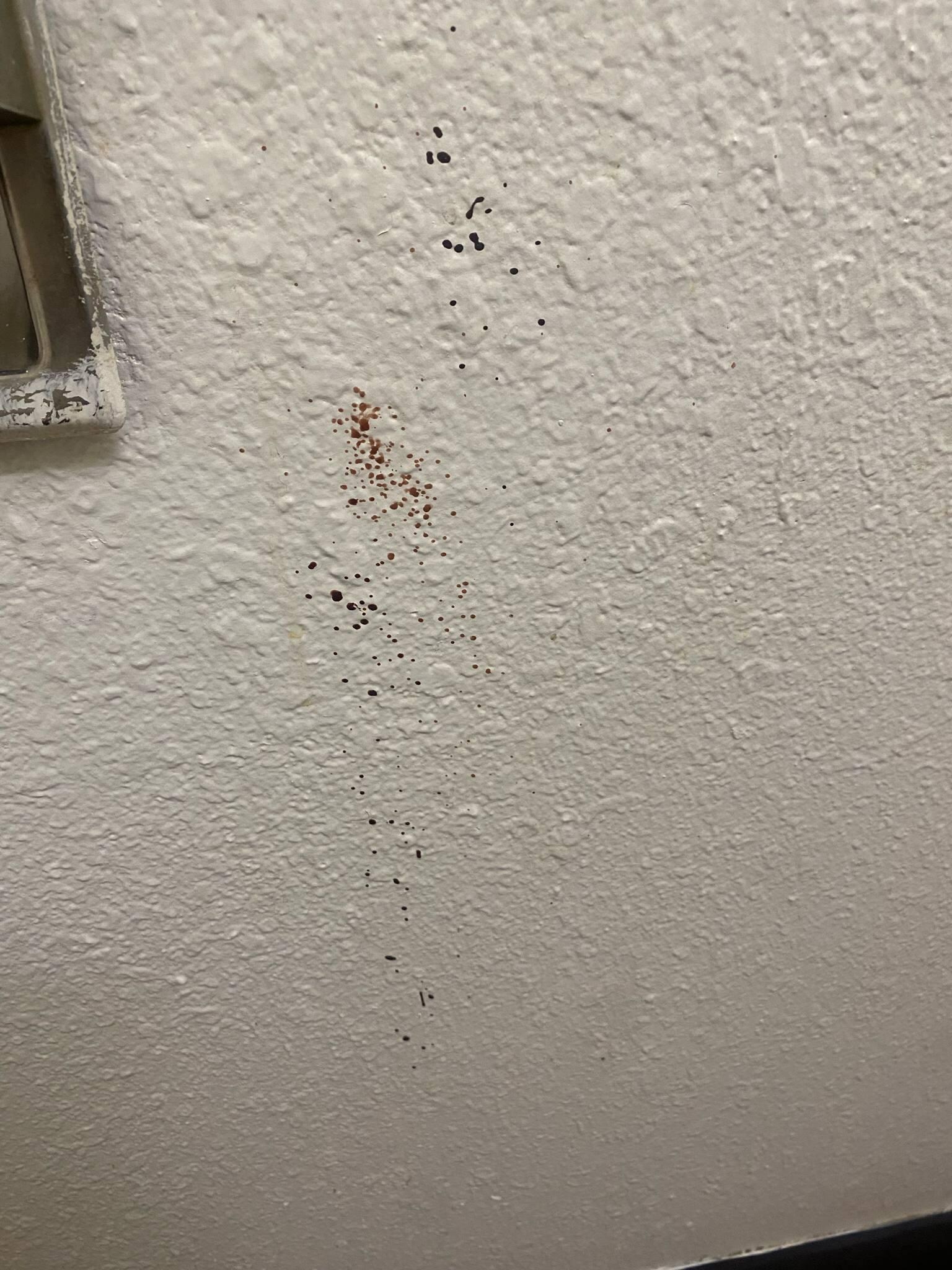 Blood splatter on wall
