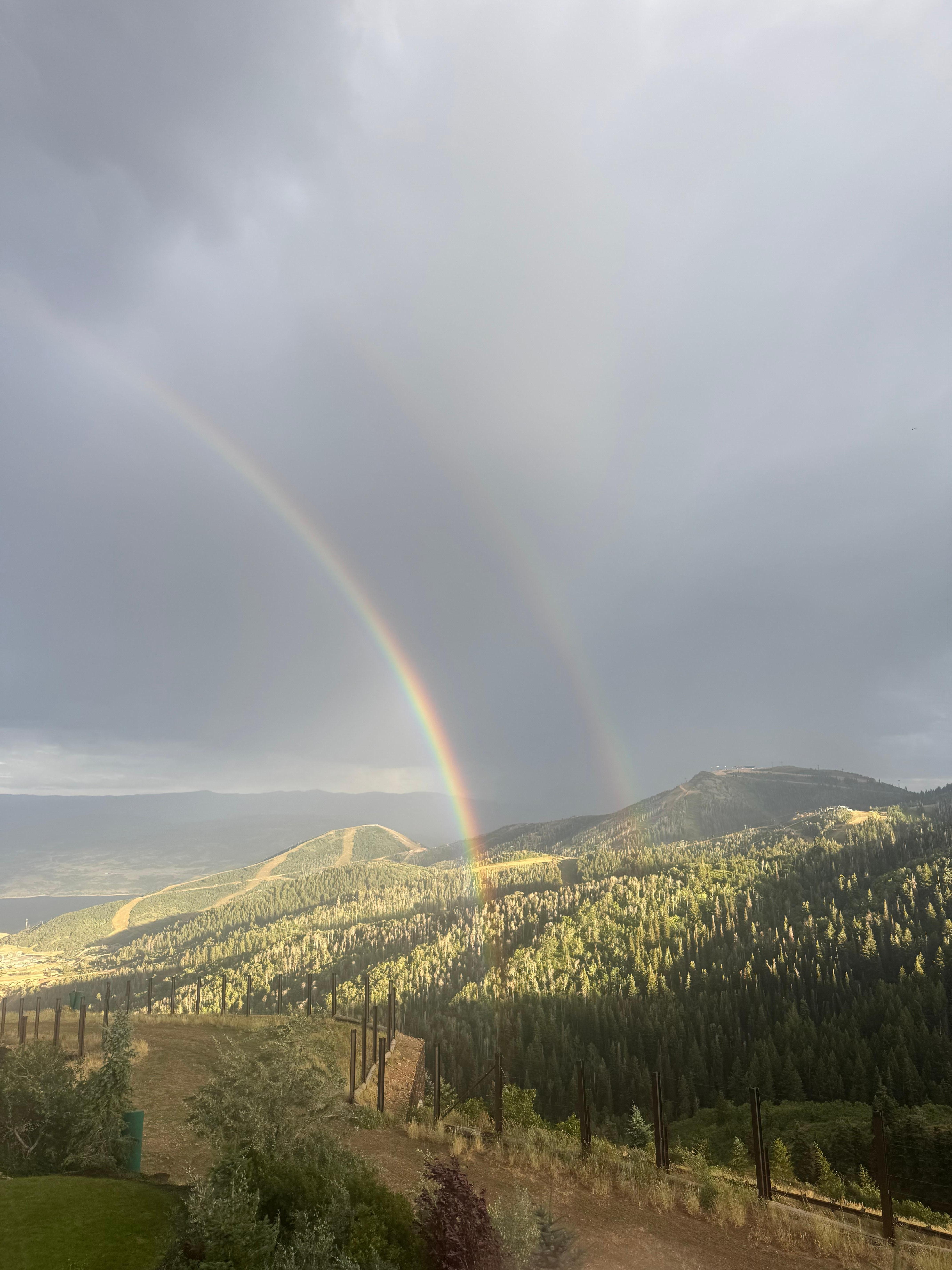 A beautiful scene from the balcony.