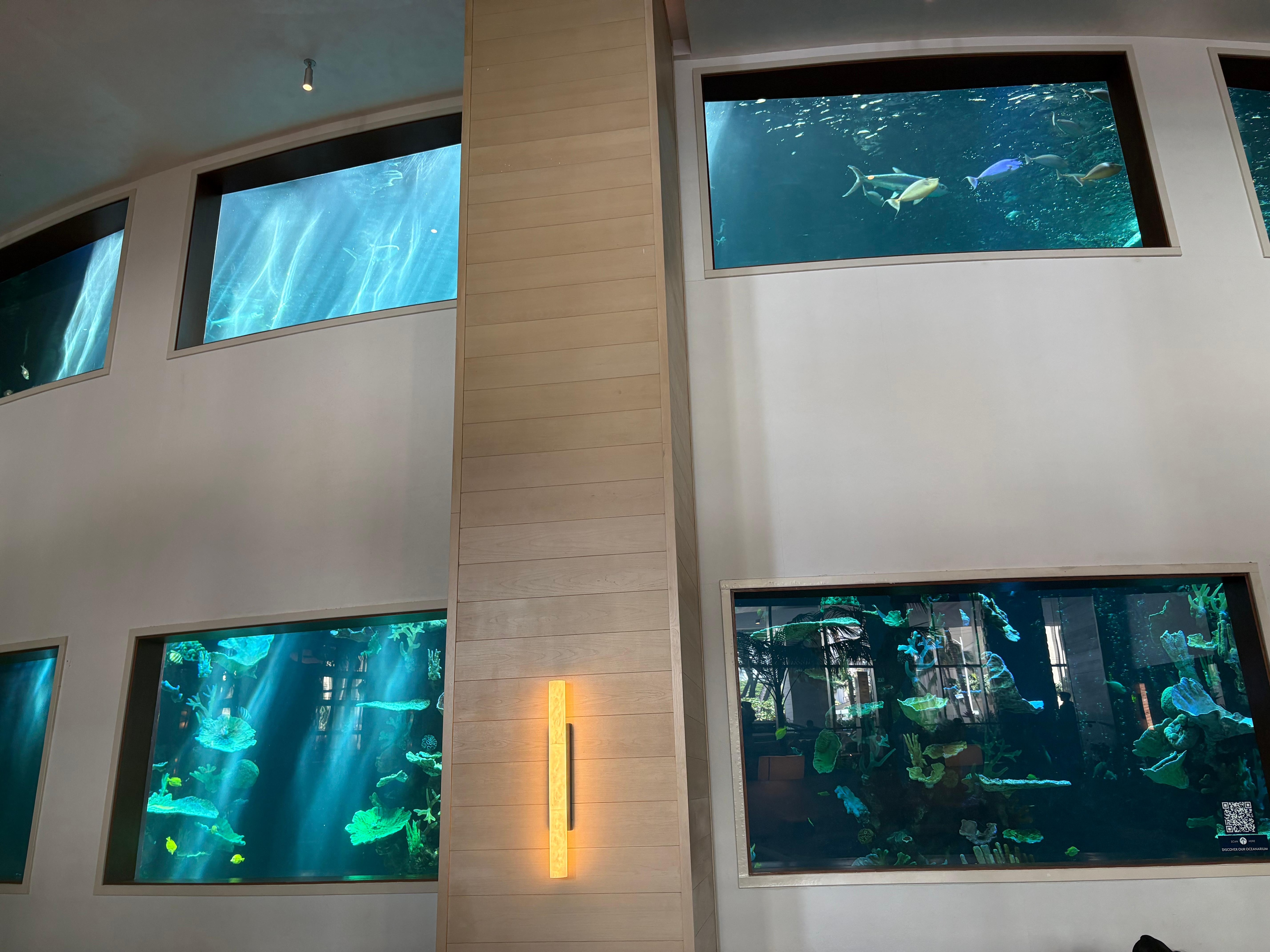 Oceanarium in lobby