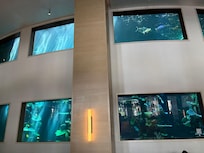 Oceanarium in lobby