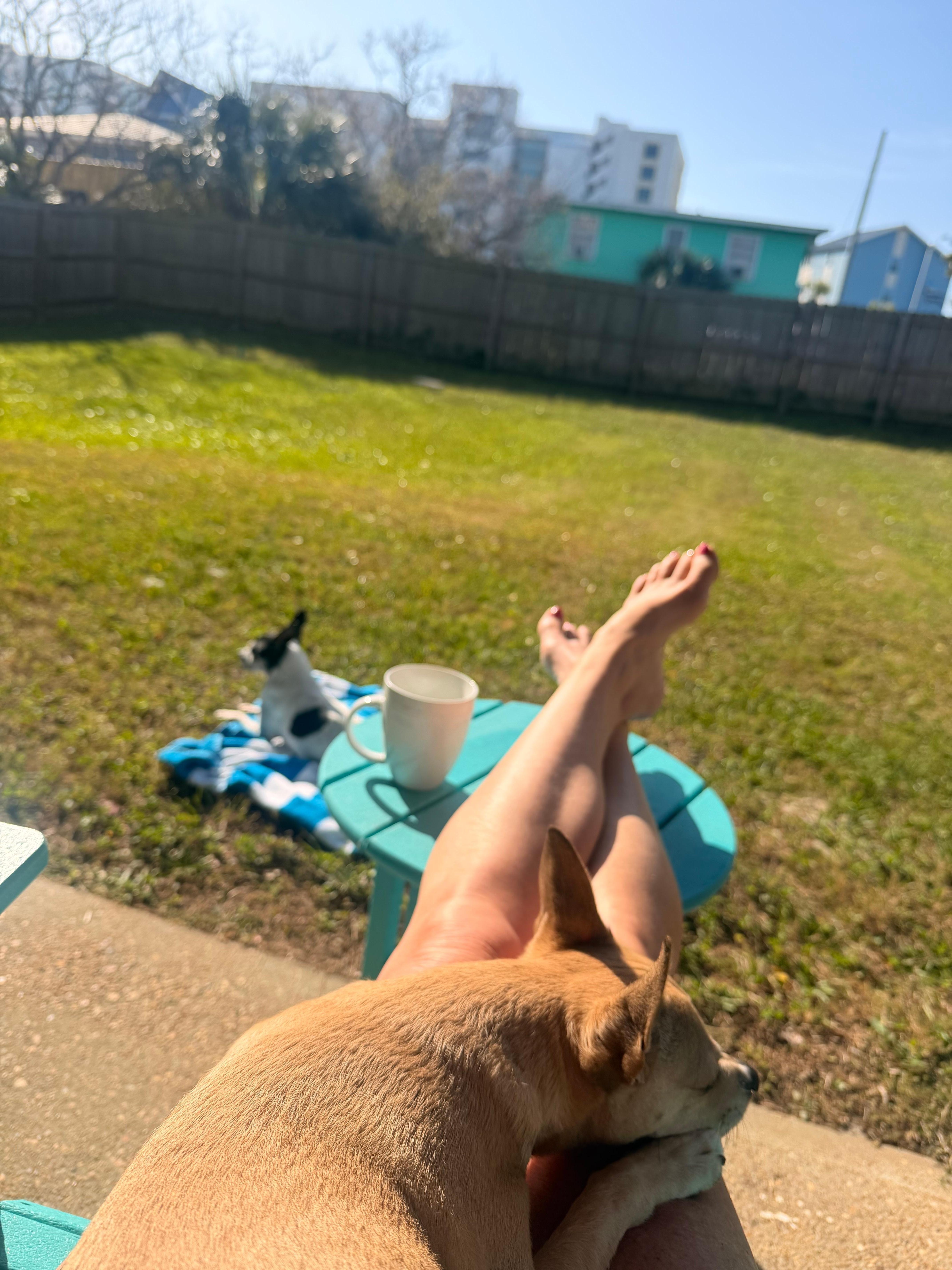 Perfect spot for morning coffee. 