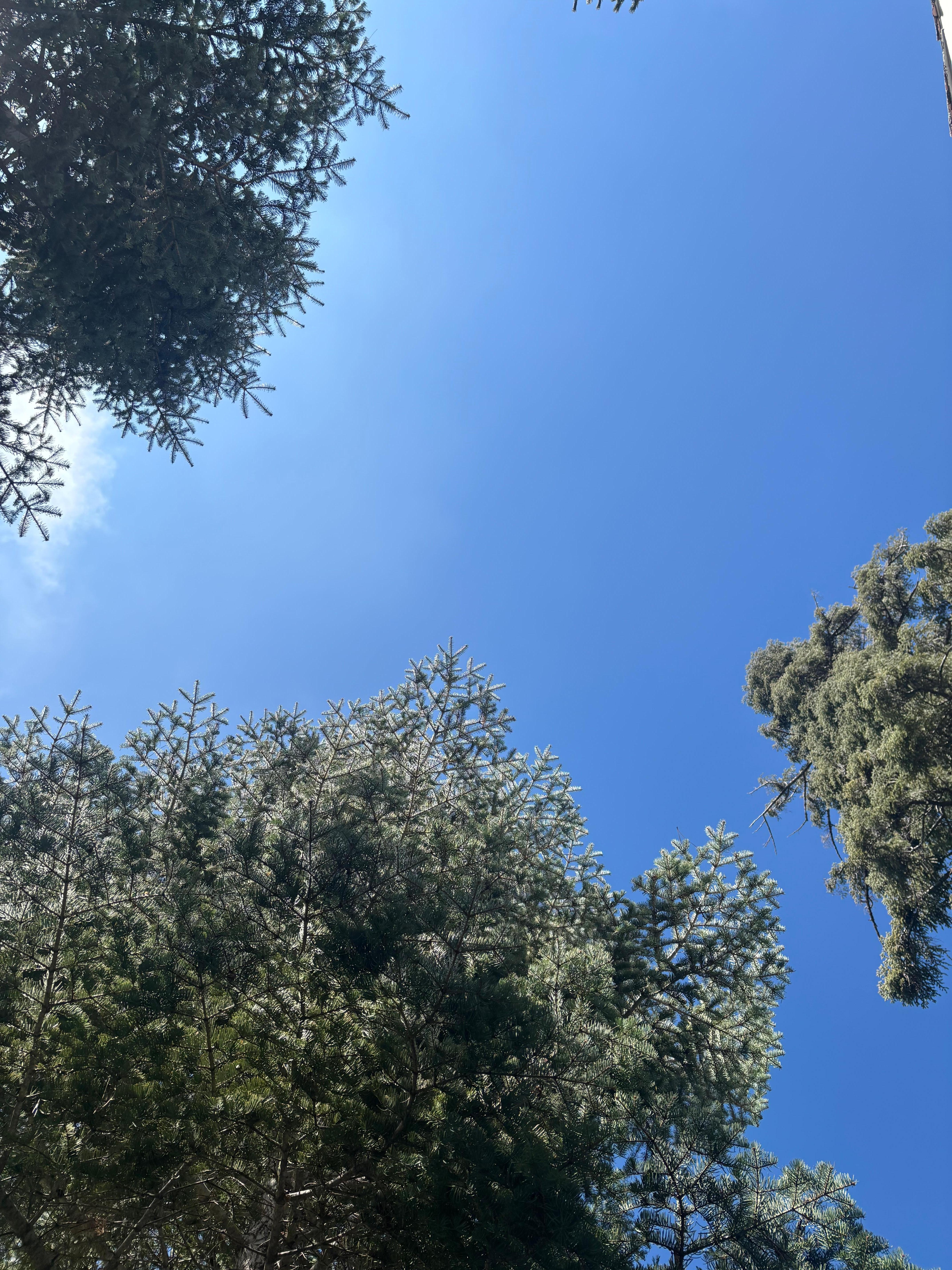 View of the beautiful sky as I laid back on my yoga mat to breathe and take in God’s beauty. 