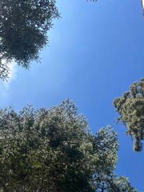View of the beautiful sky as I laid back on my yoga mat to breathe and take in God’s beauty.
