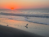 Morning walk along the beach at sunrise. Just beautiful!