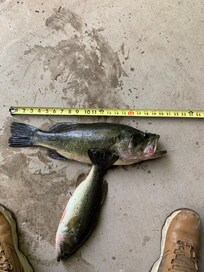 Large guy was 21 and second place 20.25