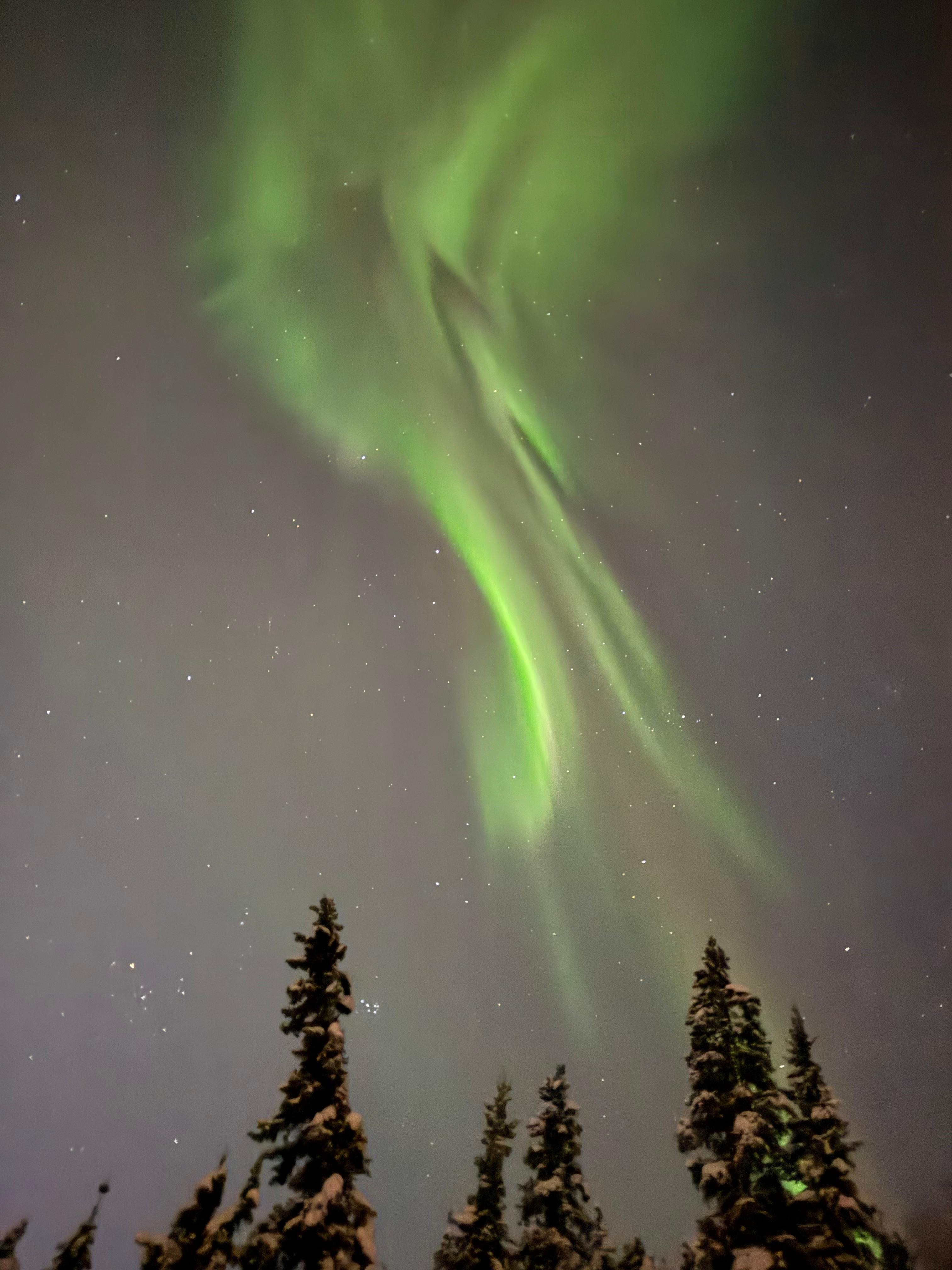 Northern lights from the front porch. 