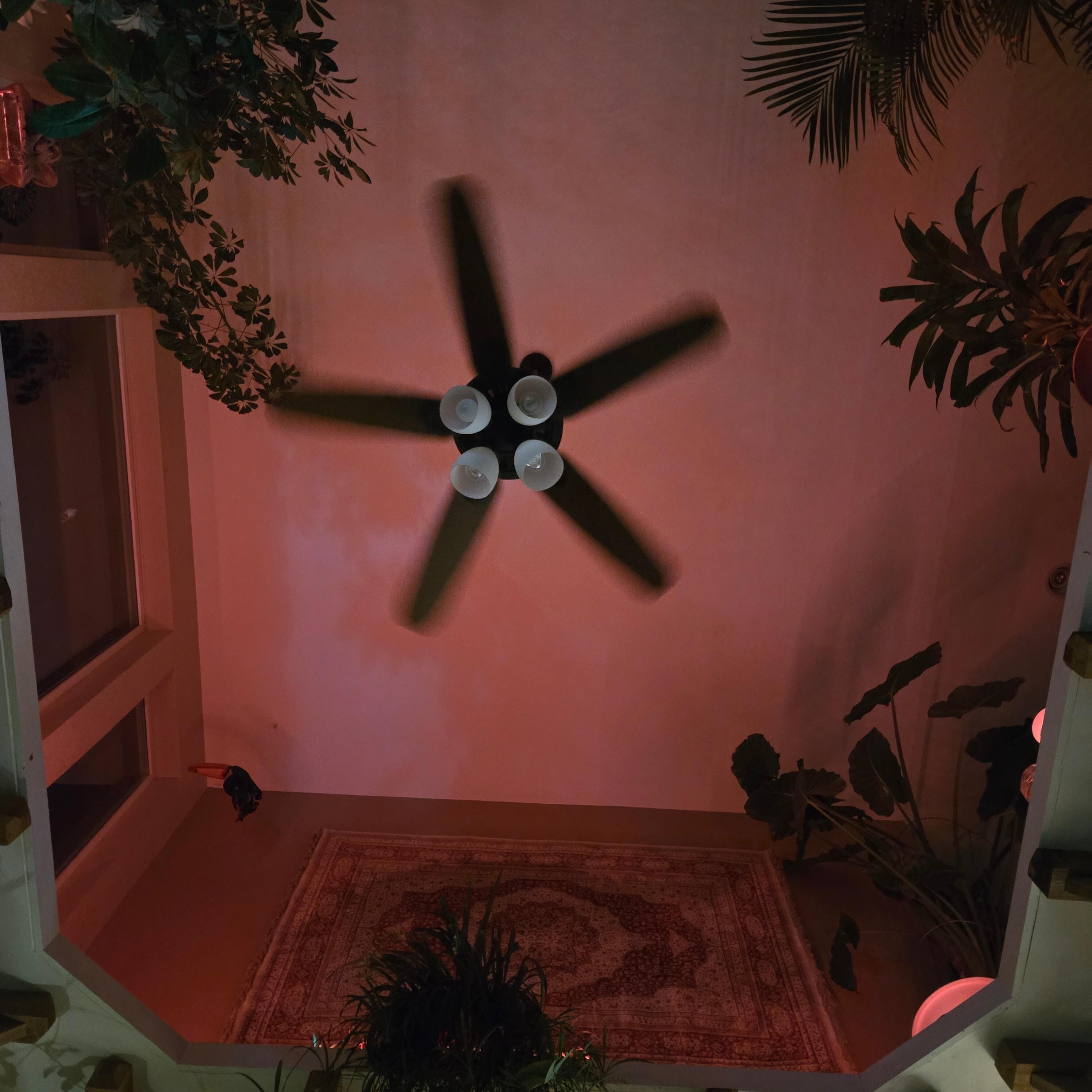 Cozy & relaxing interior 