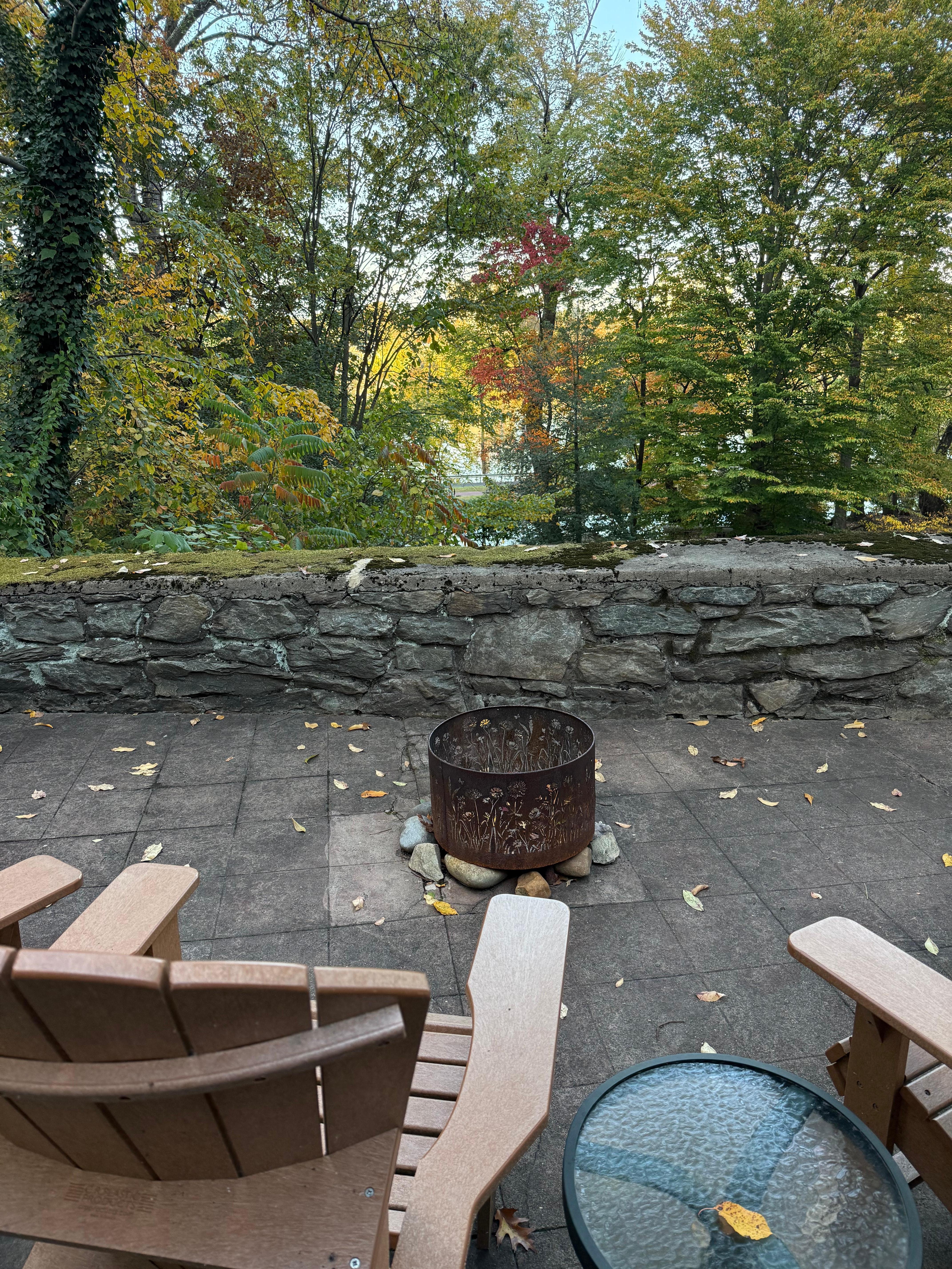 View from the Adirondack chairs.