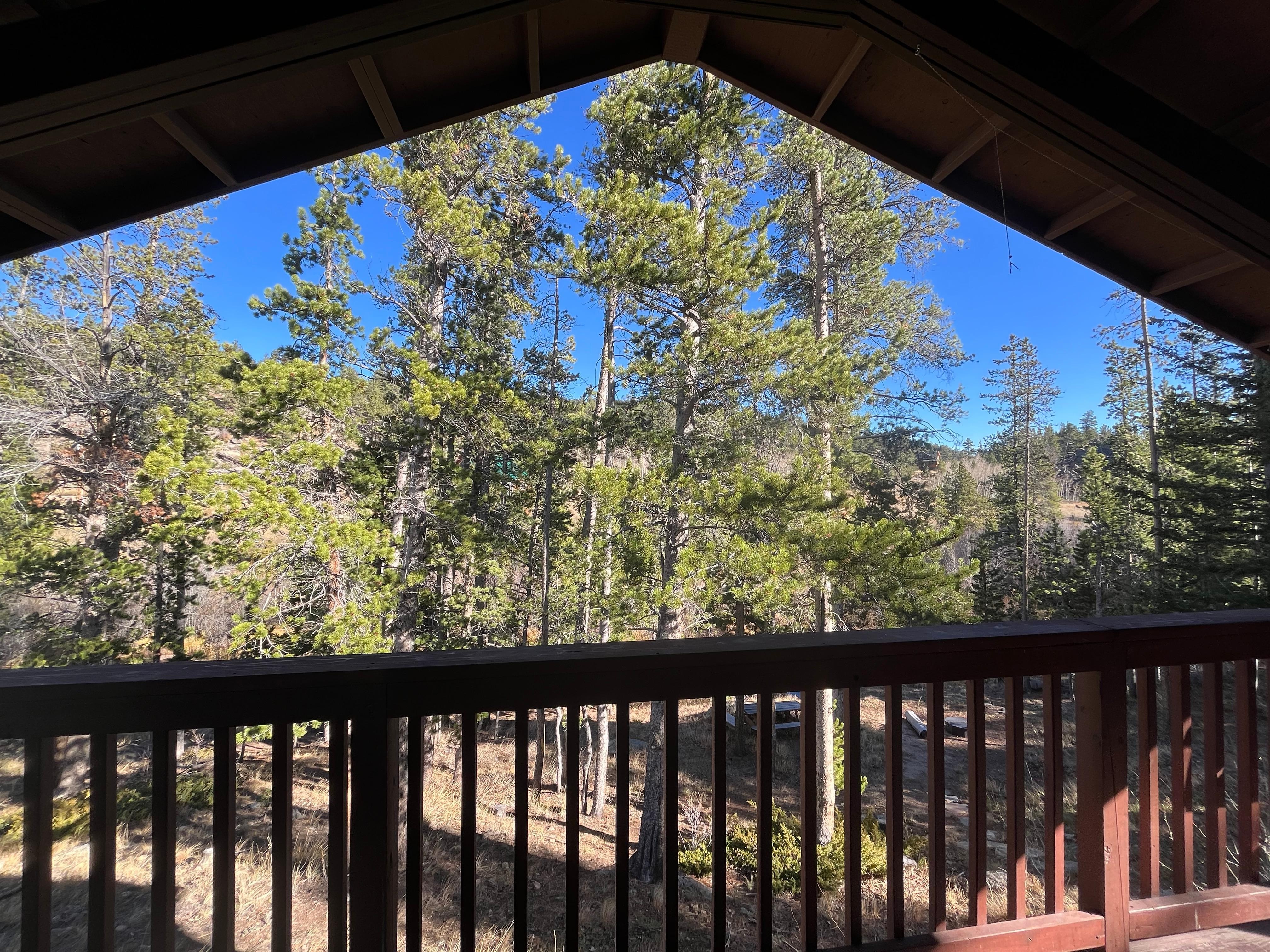 View from back porch