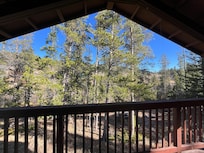 View from back porch