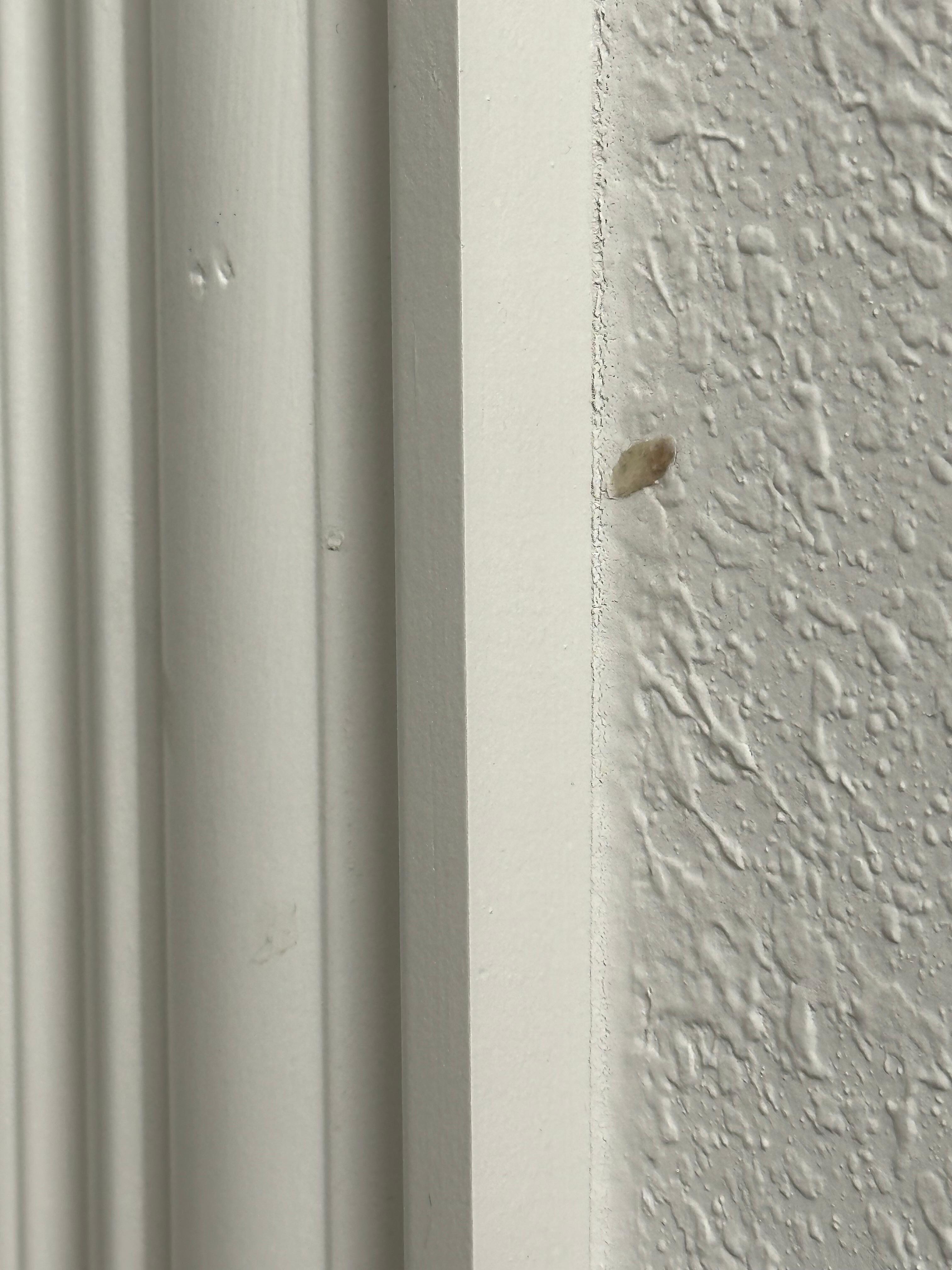 Boogers on the walls