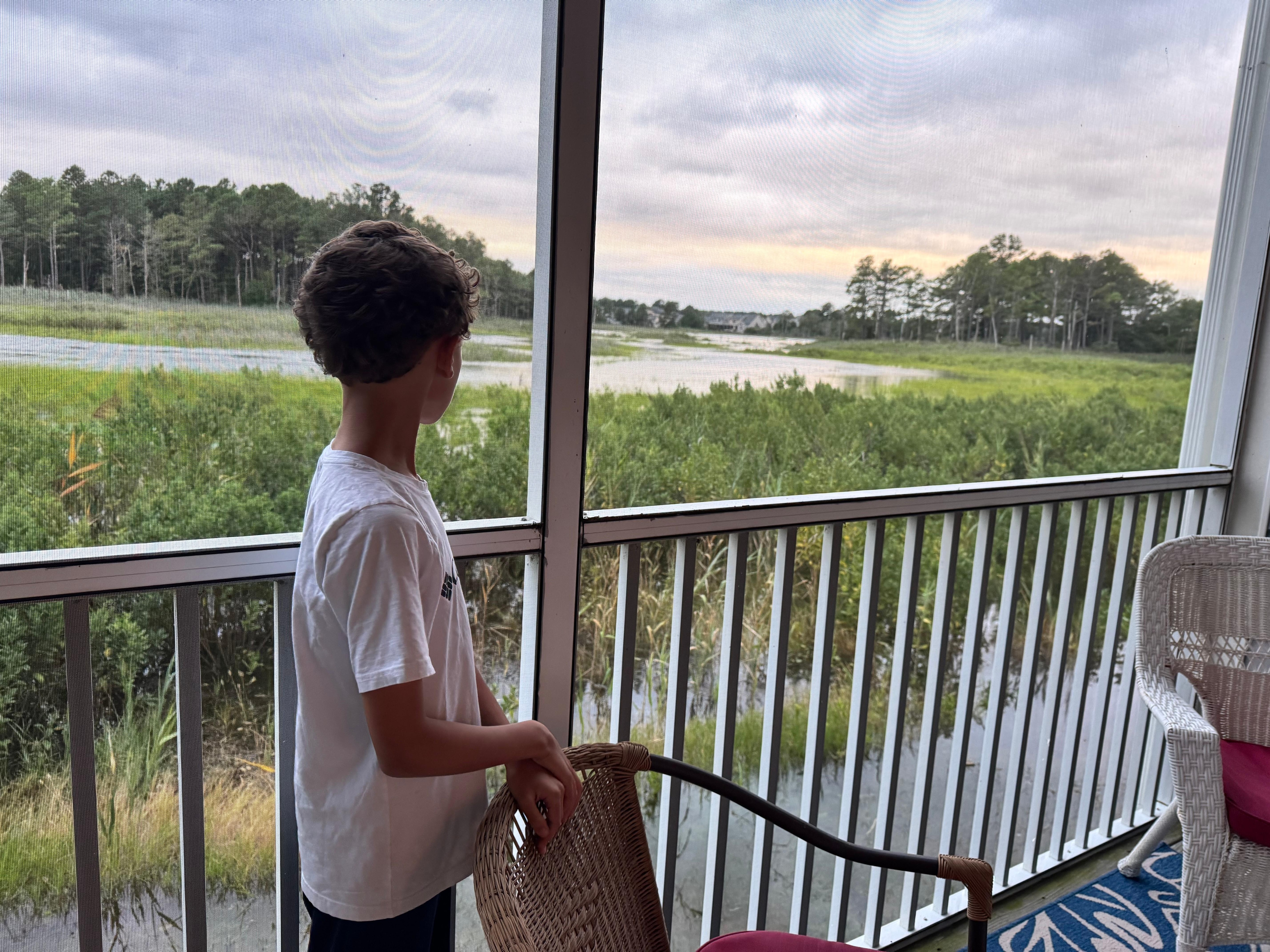 View from the screened in back patio