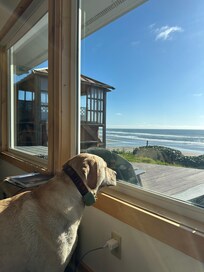 Being able to bring our dog was amazing. Thank you.