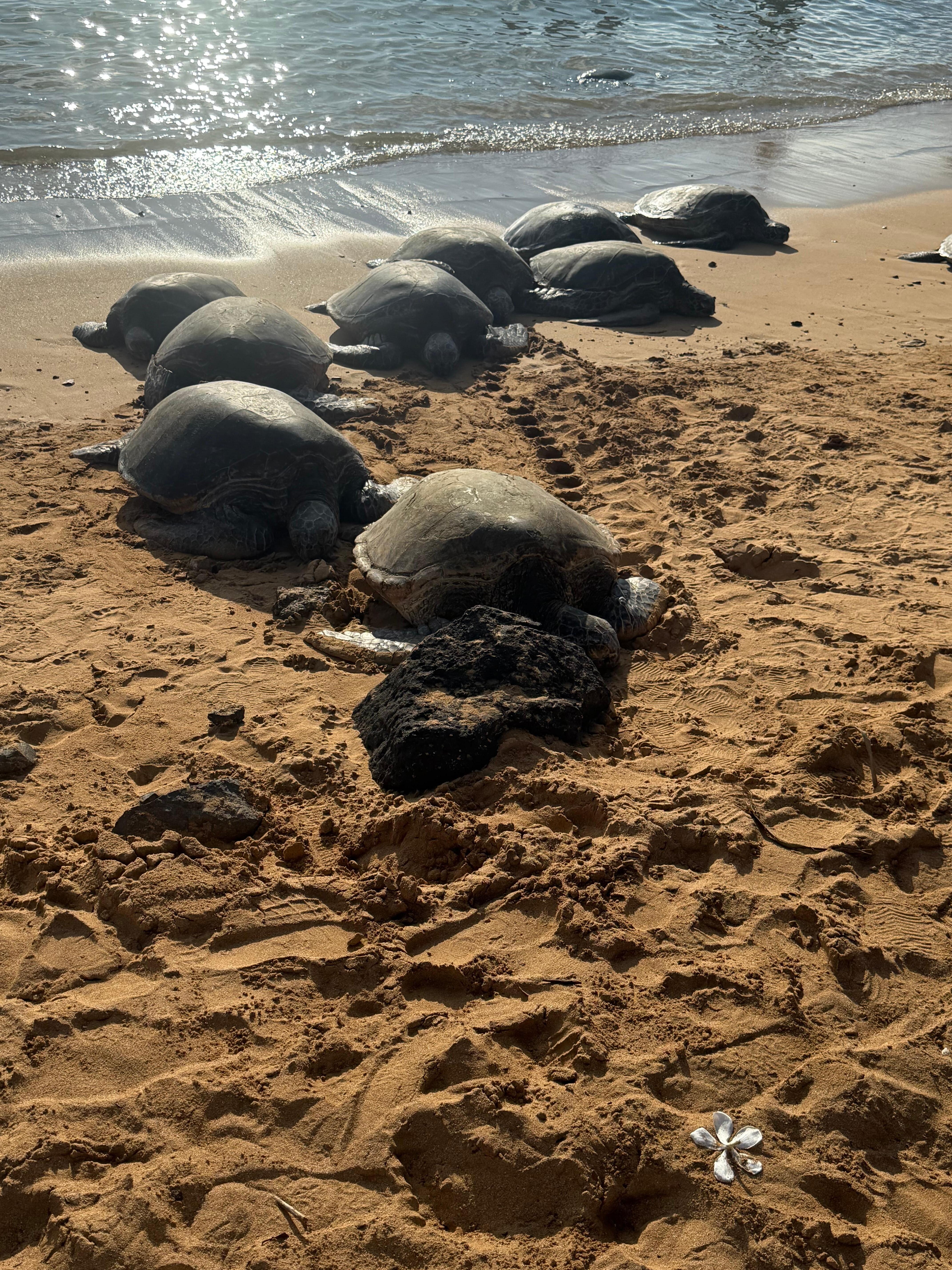 Every day on the beach 