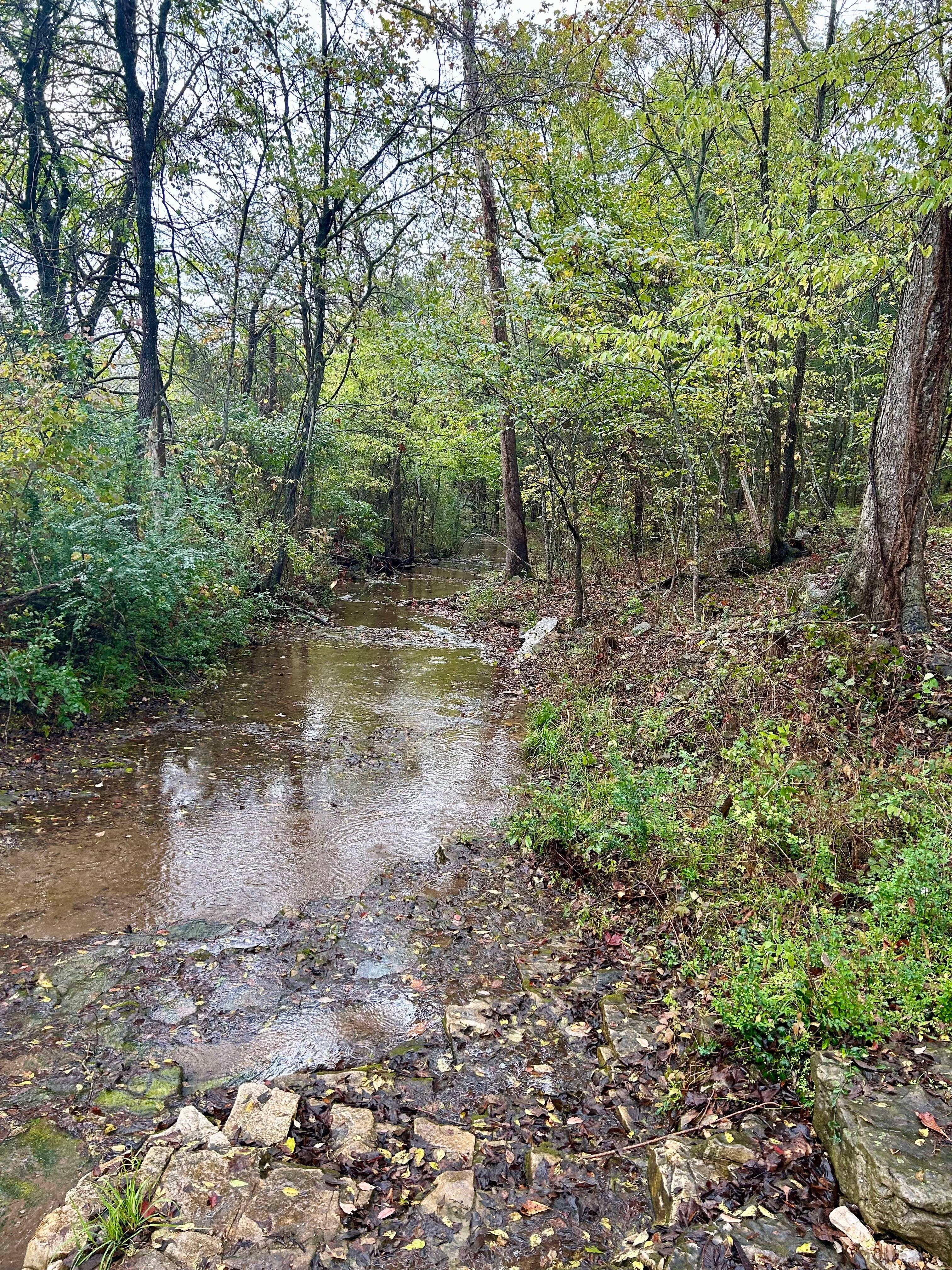 Stream in front of property.