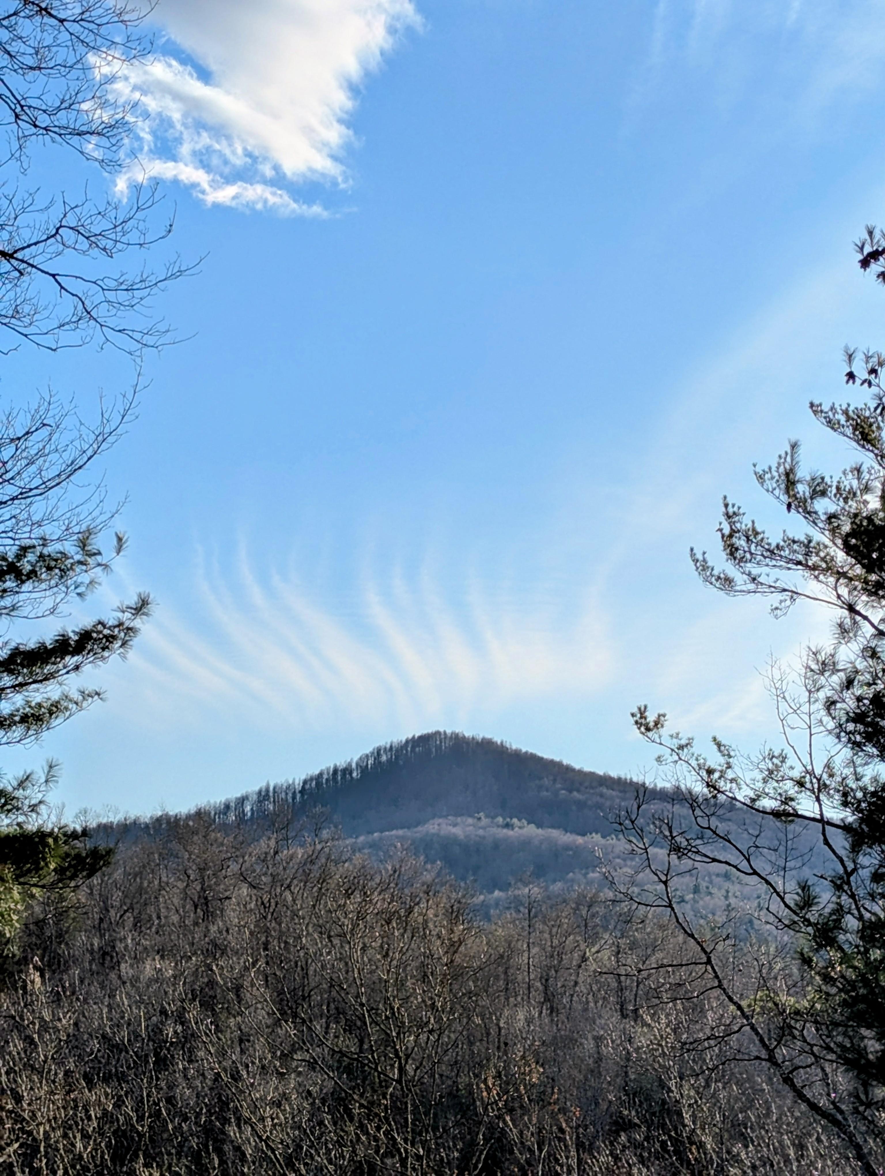 Evening from the deck.