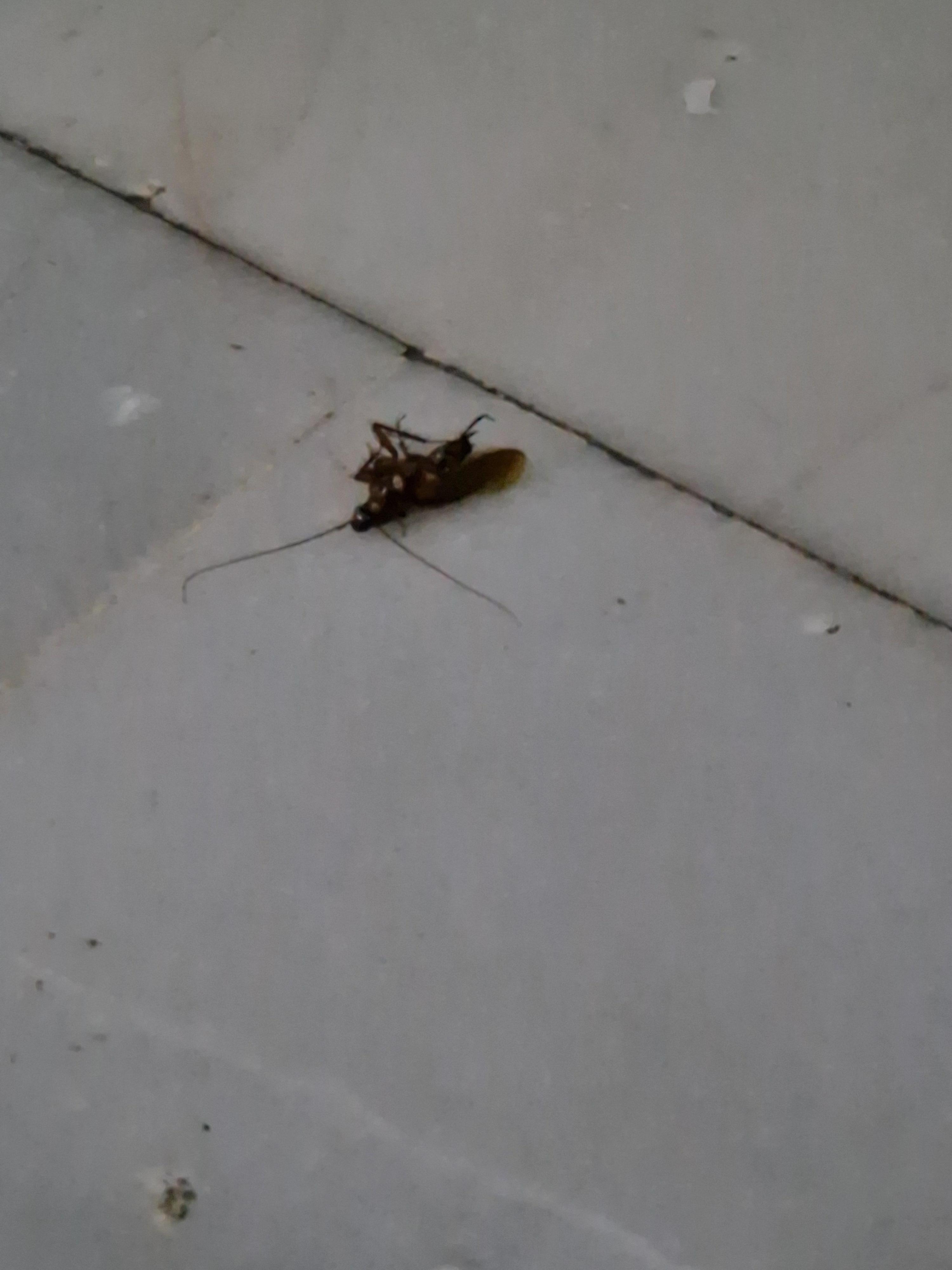 This  was in the   living  room.  