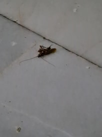 This was in the living room.