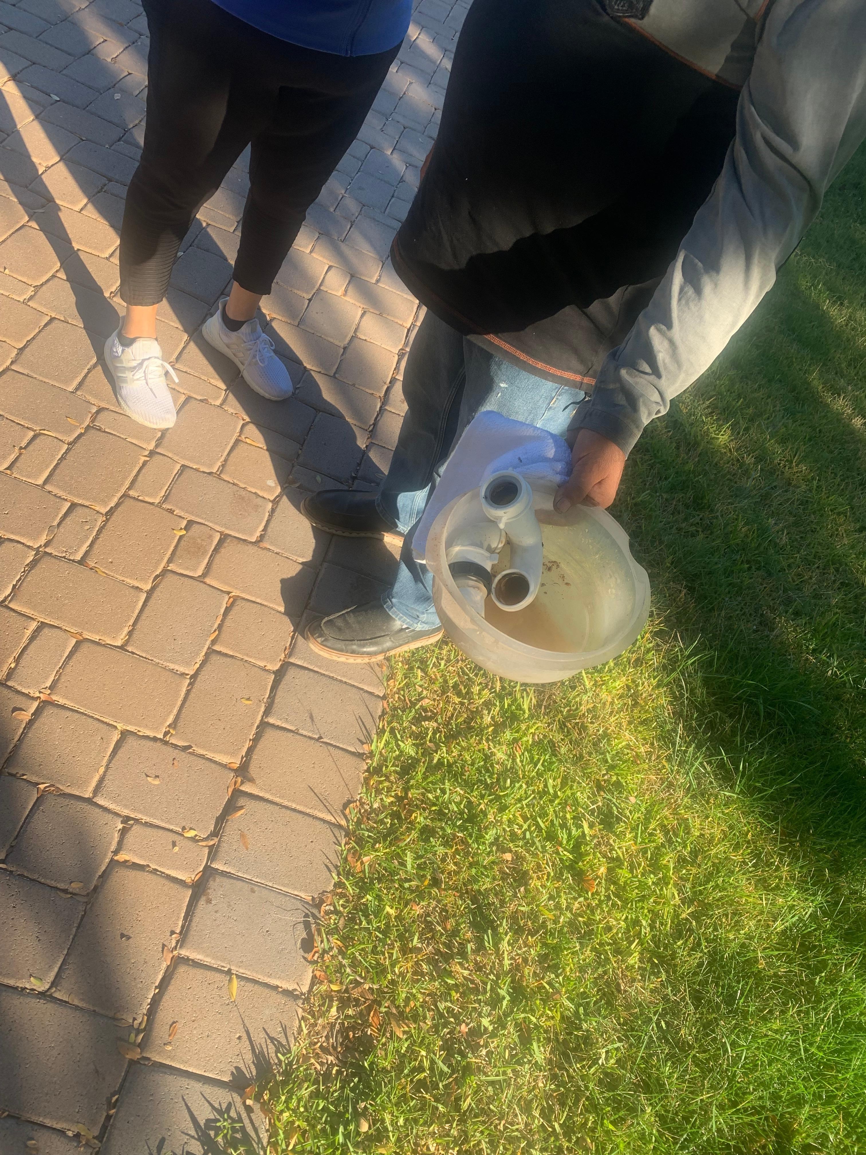 P traps were smelly so bad it made us sick. This photo taken as we were leaving as it was unbearable to stay the full time. 