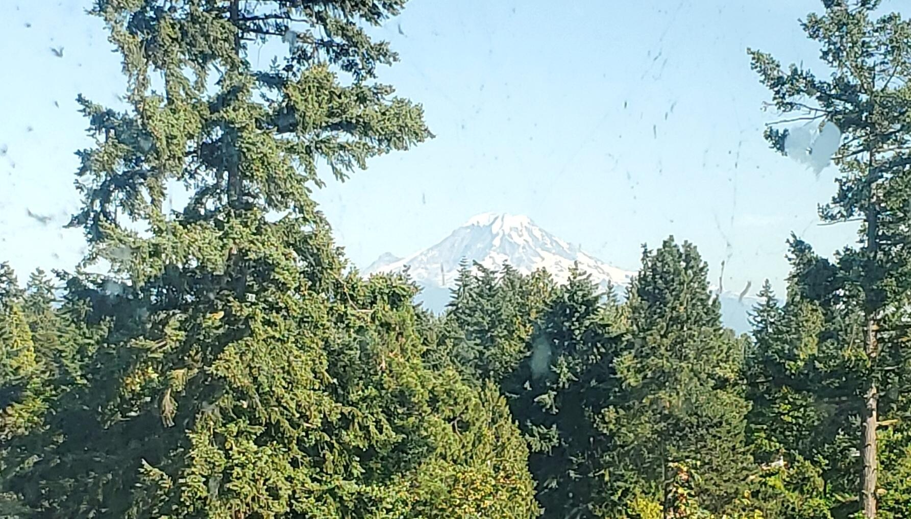 Mt Ranier 