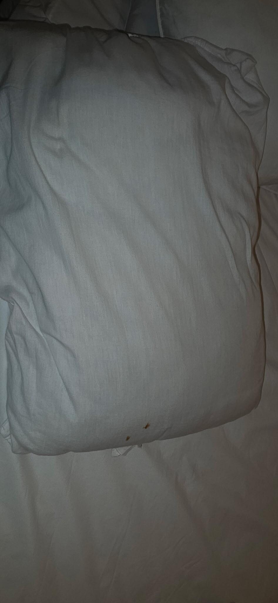 Stain