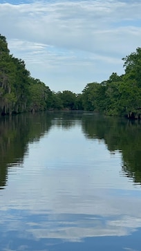 Just in awe of amazing it is back in the bayous!
